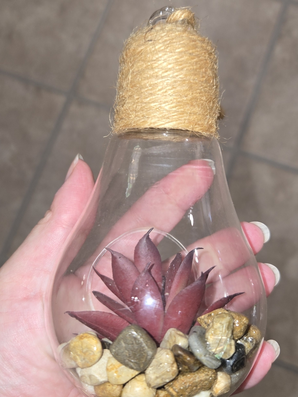 Glass Hanging Terrarium with Burgundy Faux Succulent and Jute Top